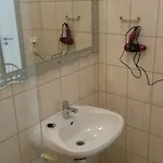 Szatmarhaz アパート ソンバトヘイ